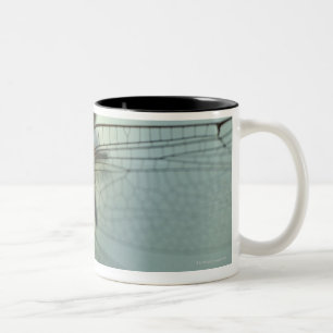 Dragonfly close-up Two-Tone coffee mug