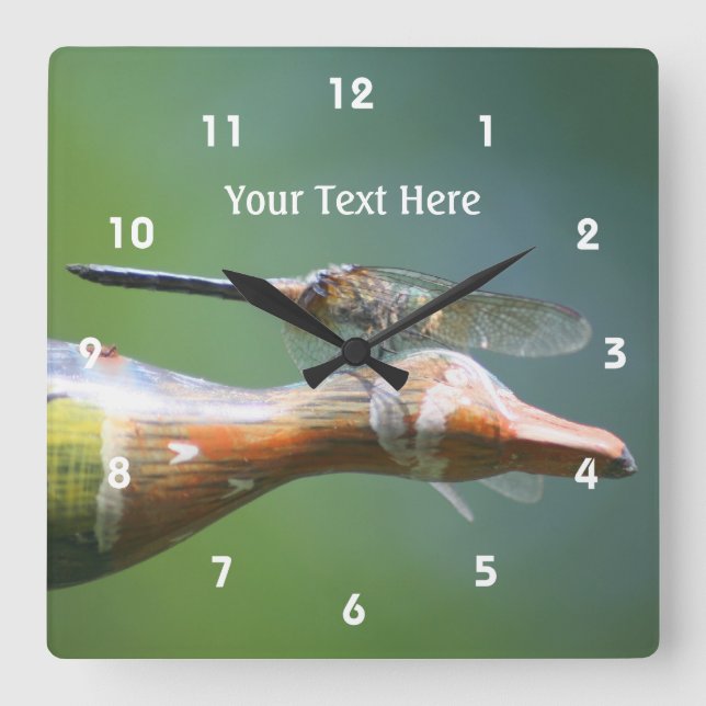 Dragonfly Co Pilot Cute Nature Personalized Square Wall Clock (Front)