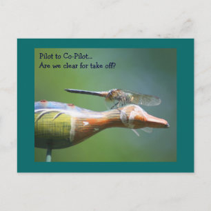 Dragonfly Co Pilot Humourous Nature Postcard