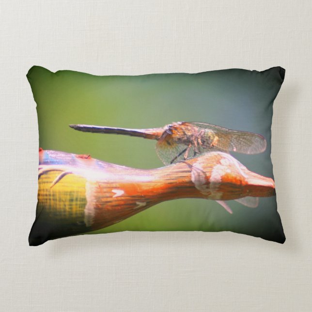 Dragonfly Co Pilot Insect   Accent Pillow (Front)