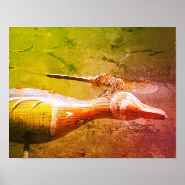 Dragonfly Co Pilot Insect Distressed Art Poster (Front)