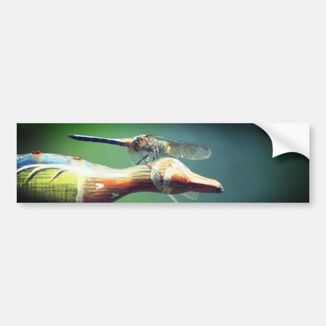 Dragonfly Co Pilot Nature  Bumper Sticker (Front)