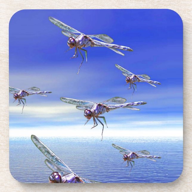 Dragonfly Coaster (Front)
