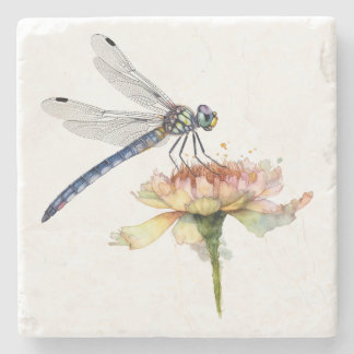 Dragonfly Coaster