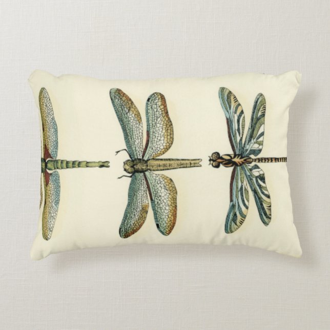 Dragonfly Collection by Chariklia Zarris Accent Pillow (Front)