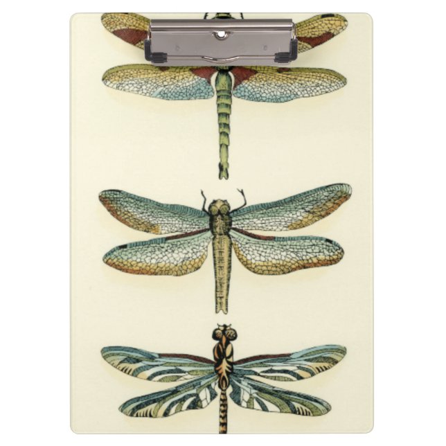 Dragonfly Collection by Chariklia Zarris Clipboard (Front)