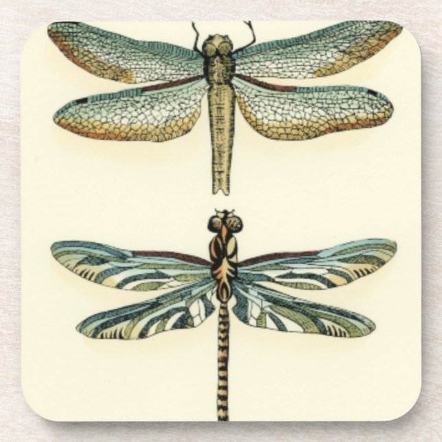 Dragonfly Collection by Chariklia Zarris Coaster (Front)
