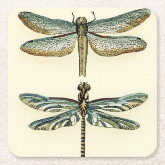 Dragonfly Collection by Chariklia Zarris Square Paper Coaster (Front)