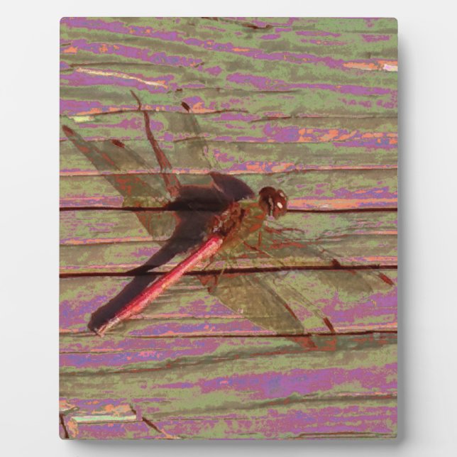 Dragonfly Colorful Plaque (Front)
