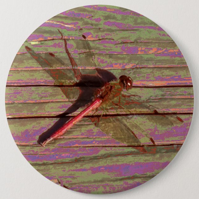 Dragonfly Colourful 6 Inch Round Button (Front)