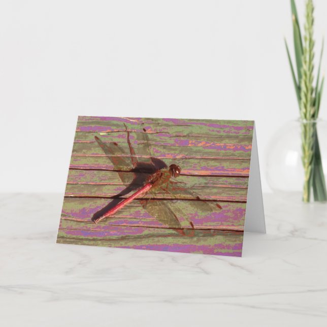 Dragonfly Colourful Card (Front)
