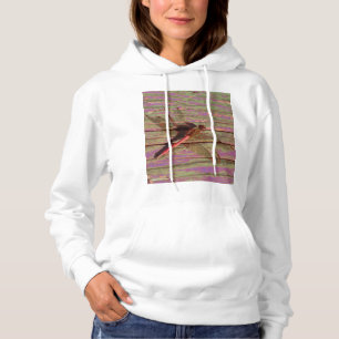 Dragonfly Colourful Hoodie
