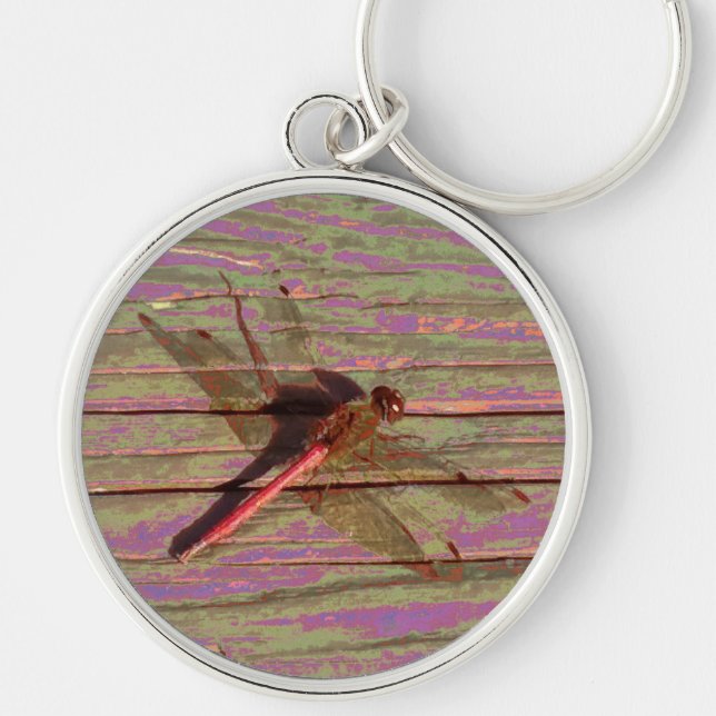Dragonfly Colourful Keychain (Front)