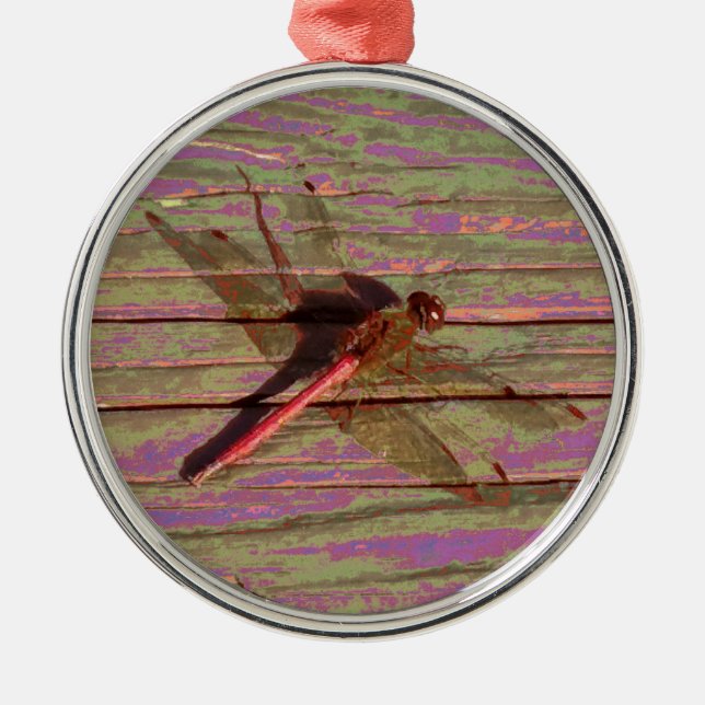 Dragonfly Colourful Metal Ornament (Front)