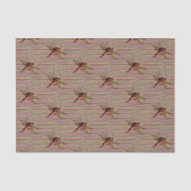 Dragonfly Colourful  Tissue Paper (Front)