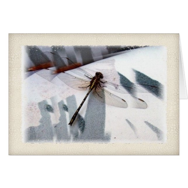 Dragonfly Dimensional Photography Art (Front Horizontal)