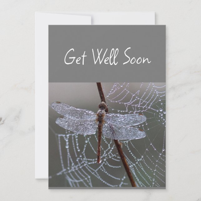  Dragonfly Dragonflies Get Well Soon Card (Front)