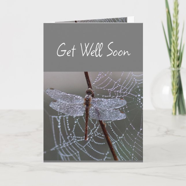  Dragonfly Dragonflies Get Well Soon Card (Front)