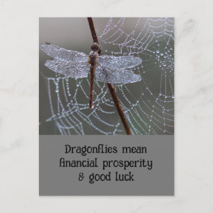  Dragonfly Dragonflies Meaning Card