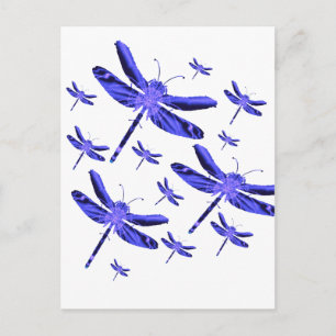 Dragonfly Dragonflies Postcard
