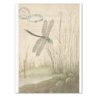 Dragonfly Ephemera