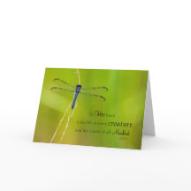 Dragonfly Expressions