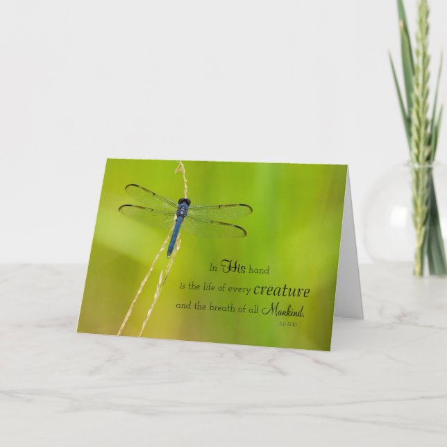 Dragonfly Expressions Holiday Card (Front)