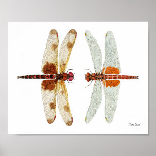 Dragonfly Face Off Poster