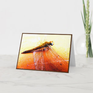 Dragonfly Folded Greeting Card