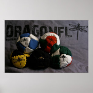 Dragonfly Footbags Poster