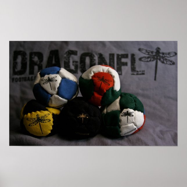 Dragonfly Footbags Poster (Front)