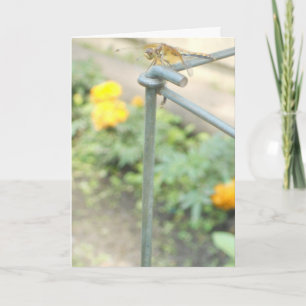 "Dragonfly Garden" Get Well Card #3