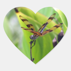 Dragonfly - Halloween Penant Heart Sticker