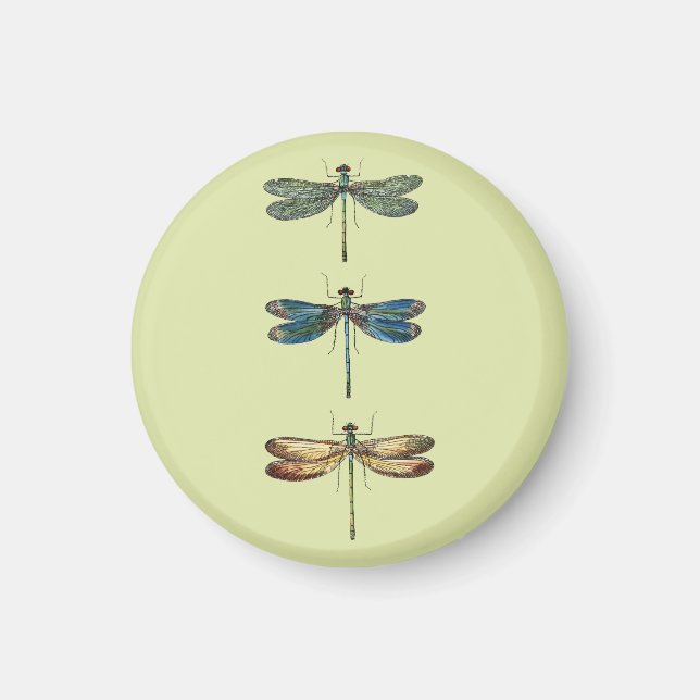 Dragonfly Illustrations Magnet (Front)