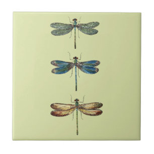 Dragonfly Illustrations Tile