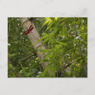 Dragonfly in Bamboo carte postale