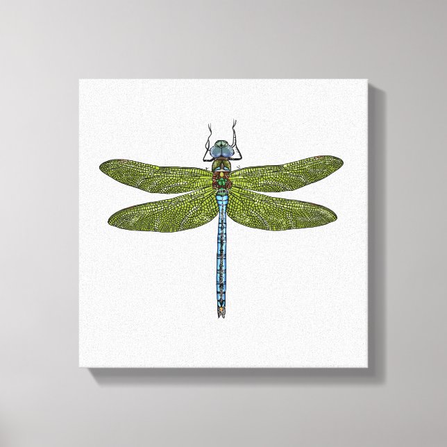 Dragonfly insect close up vibrant colors canvas print (Front)