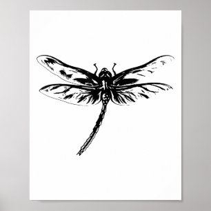 Dragonfly Insect Motif Colourful Wings Insects Dra Poster