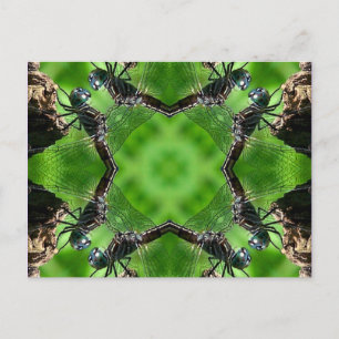 Dragonfly Kaleidoscope Art Nature Postcard