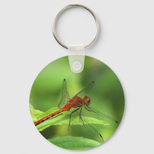 Dragonfly Keychain