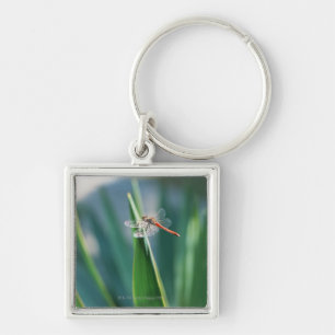 Dragonfly Keychain