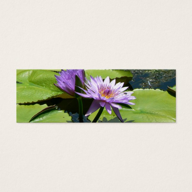 Dragonfly Lotus (Front)