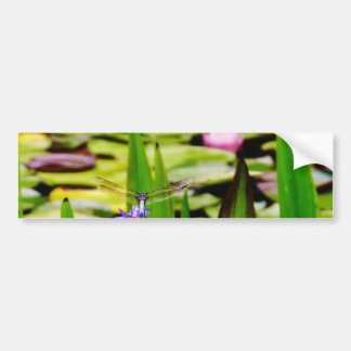 Dragonfly lotus and purple flower bumper sticker