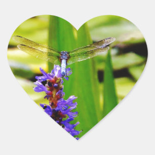 Dragonfly lotus and purple flower heart sticker