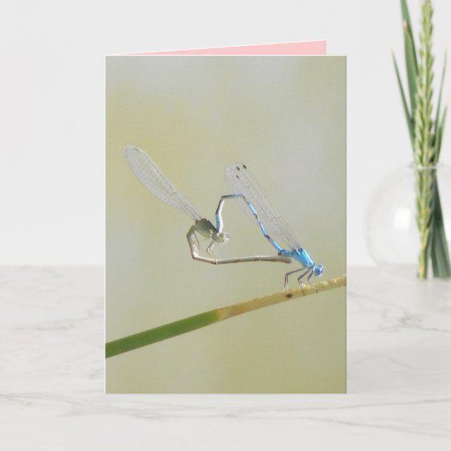 Dragonfly Love Card (Front)