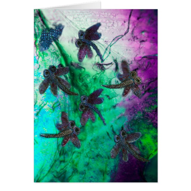 Dragonfly Magic (Front)
