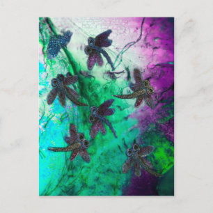 Dragonfly Magic Postcard