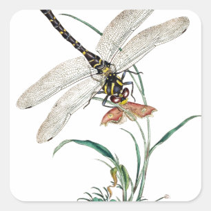 Dragonfly Magic Square Sticker