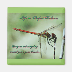 Dragonfly Magnet