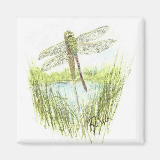 Dragonfly magnet